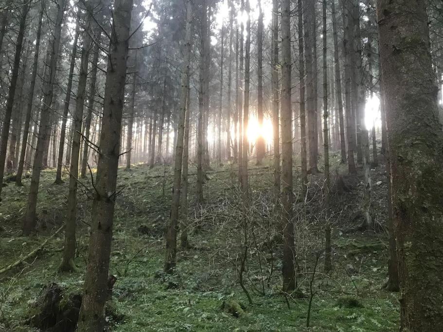 Ferienwohnung Sofie Mastershausen Exteriör bild